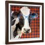 Cool Cow on Pattern-Lanie Loreth-Framed Art Print