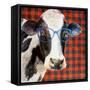 Cool Cow on Pattern-Lanie Loreth-Framed Stretched Canvas