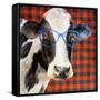 Cool Cow on Pattern-Lanie Loreth-Framed Stretched Canvas