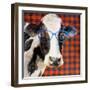 Cool Cow on Pattern-Lanie Loreth-Framed Art Print