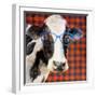 Cool Cow on Pattern-Lanie Loreth-Framed Art Print