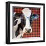 Cool Cow on Pattern-Lanie Loreth-Framed Art Print