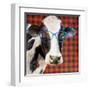 Cool Cow on Pattern-Lanie Loreth-Framed Art Print