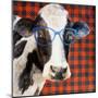 Cool Cow on Pattern-Lanie Loreth-Mounted Art Print