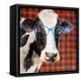 Cool Cow on Pattern-Lanie Loreth-Framed Stretched Canvas