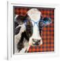 Cool Cow on Pattern-Lanie Loreth-Framed Art Print