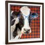 Cool Cow on Pattern-Lanie Loreth-Framed Art Print