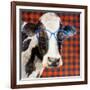 Cool Cow on Pattern-Lanie Loreth-Framed Art Print