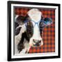 Cool Cow on Pattern-Lanie Loreth-Framed Art Print