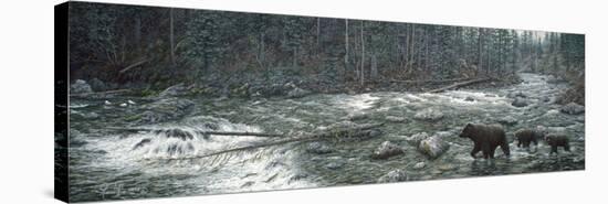 Cool Creek-Jeff Tift-Stretched Canvas