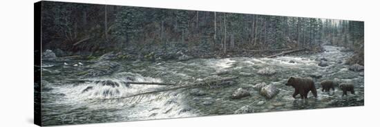 Cool Creek-Jeff Tift-Stretched Canvas