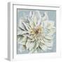 Cool Dahlias II-Patricia Pinto-Framed Premium Giclee Print