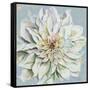 Cool Dahlias II-Patricia Pinto-Framed Stretched Canvas