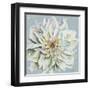 Cool Dahlias II-Patricia Pinto-Framed Art Print