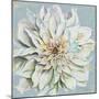 Cool Dahlias II-Patricia Pinto-Mounted Art Print