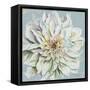 Cool Dahlias II-Patricia Pinto-Framed Stretched Canvas