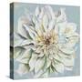 Cool Dahlias II-Patricia Pinto-Stretched Canvas