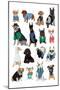 Cool Dogs-Hanna Melin-Mounted Art Print
