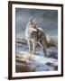 Cool Evening-Trevor V. Swanson-Framed Giclee Print