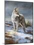 Cool Evening-Trevor V. Swanson-Mounted Giclee Print