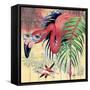 Cool Flamingoes-James Mazzotta-Framed Stretched Canvas