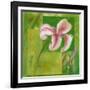 Cool Garden II-Patricia Pinto-Framed Art Print