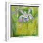 Cool Garden III-Patricia Pinto-Framed Art Print