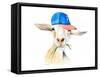 Cool Goat-Lanie Loreth-Framed Stretched Canvas