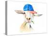 Cool Goat-Lanie Loreth-Stretched Canvas