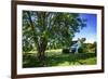 Cool Green and Shady-Alan Hausenflock-Framed Photographic Print