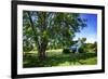 Cool Green and Shady-Alan Hausenflock-Framed Photographic Print