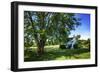 Cool Green and Shady-Alan Hausenflock-Framed Premium Photographic Print