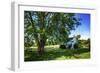 Cool Green and Shady-Alan Hausenflock-Framed Premium Photographic Print