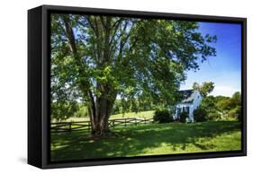 Cool Green and Shady-Alan Hausenflock-Framed Stretched Canvas
