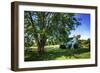 Cool Green and Shady-Alan Hausenflock-Framed Photographic Print
