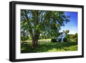 Cool Green and Shady-Alan Hausenflock-Framed Photographic Print