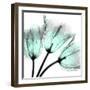 Cool Growth-Albert Koetsier-Framed Photographic Print