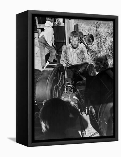 Cool Hand Luke, 1967-null-Framed Stretched Canvas