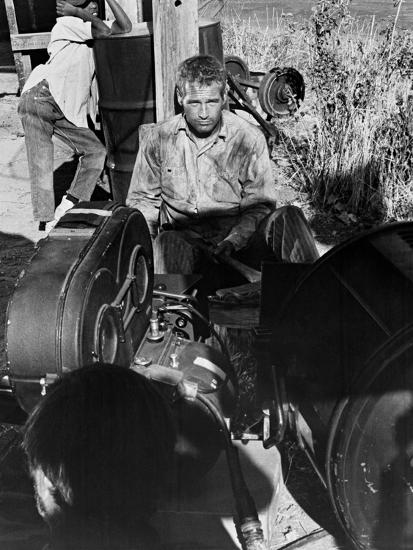 Photographic Print, , large