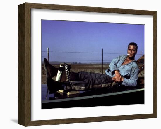 Cool Hand Luke, Paul Newman, 1967, Leg Irons-null-Framed Photo