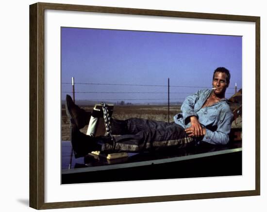 Cool Hand Luke, Paul Newman, 1967, Leg Irons-null-Framed Photo