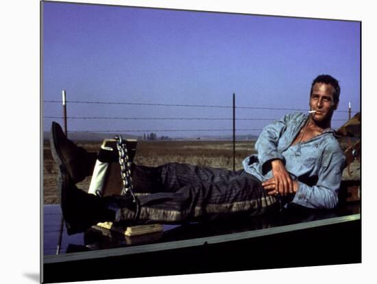 Cool Hand Luke, Paul Newman, 1967, Leg Irons-null-Mounted Photo