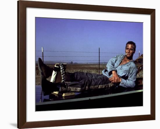 Cool Hand Luke, Paul Newman, 1967, Leg Irons-null-Framed Photo