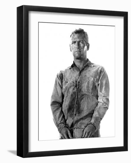 Cool Hand Luke, Paul Newman, 1967-null-Framed Photo