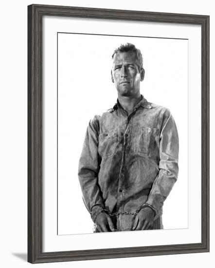 Cool Hand Luke, Paul Newman, 1967-null-Framed Photo