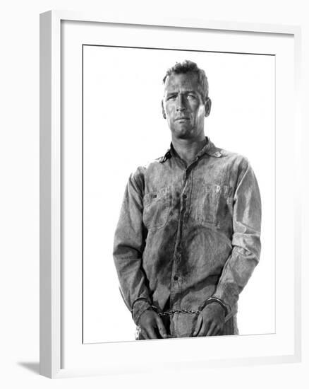 Cool Hand Luke, Paul Newman, 1967-null-Framed Photo