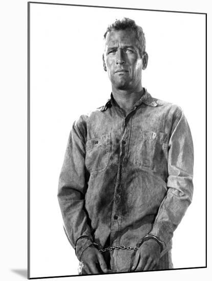 Cool Hand Luke, Paul Newman, 1967-null-Mounted Photo