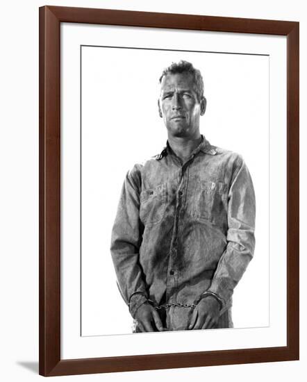 Cool Hand Luke, Paul Newman, 1967-null-Framed Photo