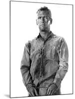 Cool Hand Luke, Paul Newman, 1967-null-Mounted Photo