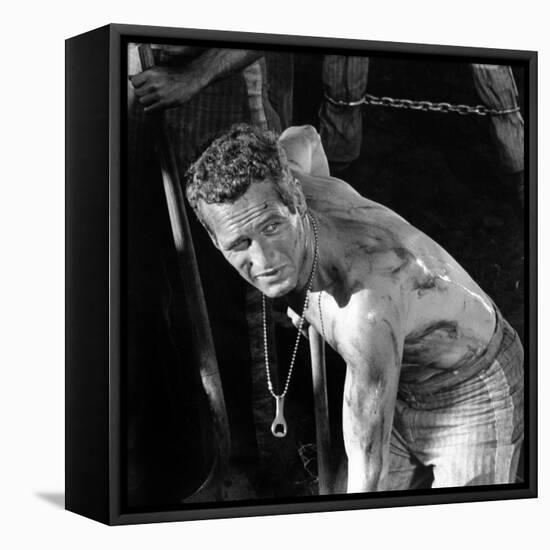 Cool Hand Luke, Paul Newman , 1967-null-Framed Stretched Canvas